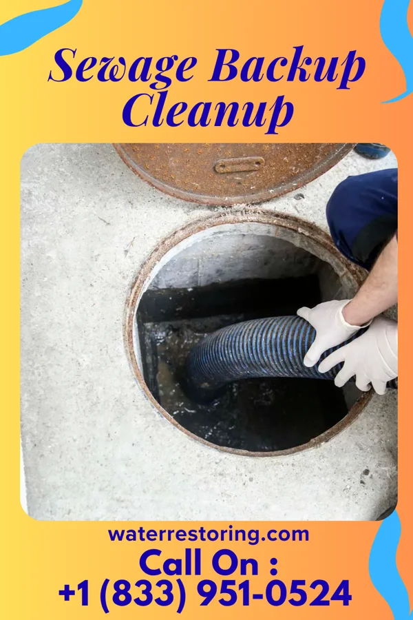 Sewage Backup Cleanup in Dillon, SC